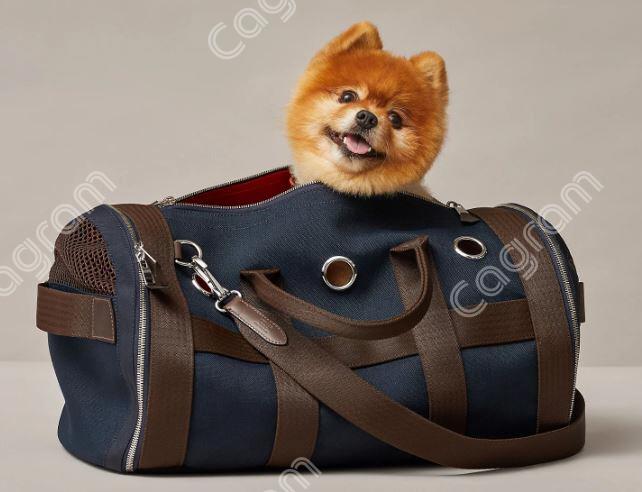 37aeeeb11f457335e5cb654550f548f8_1652837881_778.jpg 37aeeeb11f457335e5cb654550f548f8_1652837881_778.jpg