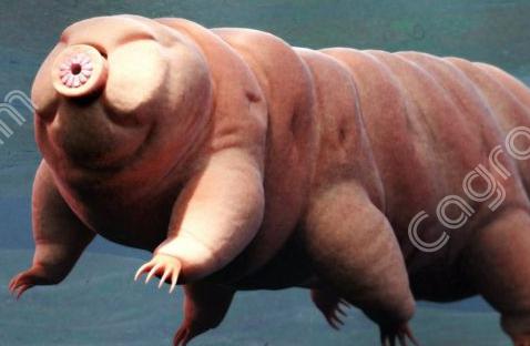 e482fa1649b605fa0fb41e6f0fccdb08_1652661904_1768.png e482fa1649b605fa0fb41e6f0fccdb08_1652661904_1768.png