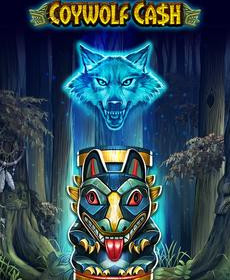 [플레이앤고] Coywolf Cash