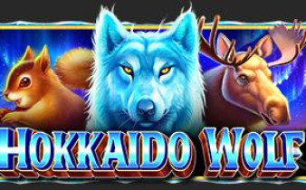 [프라그마틱] 홋카이도 늑대 Hokkaido Wolf