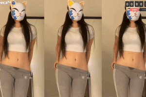 고양이 가면 제로투!